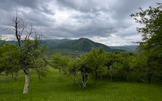 Teren intravilan Cisnadioara cu priveliste spectaculoasă cu PUZ - Poză 1