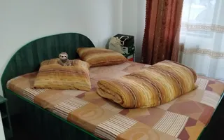 Camin de batrani + Ferma de sturioni/Saru Dornei - Poză 20