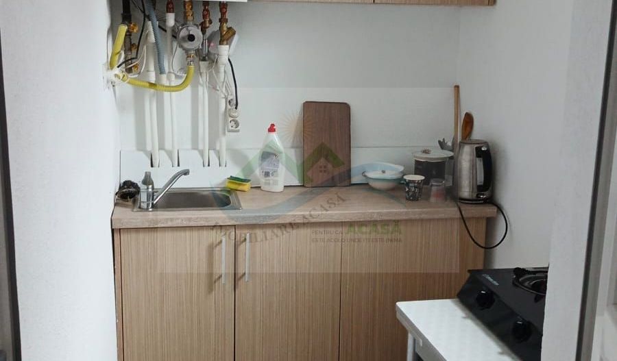 Pensiune/Unitate de cazare/Vila Burdujeni Suceava - Poză 38