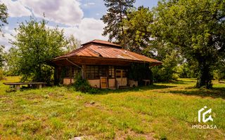 Vila Conac boieresc contelui Fabia 1920 de vânzare Păuliș Arad 2,4 ha - Poză 8