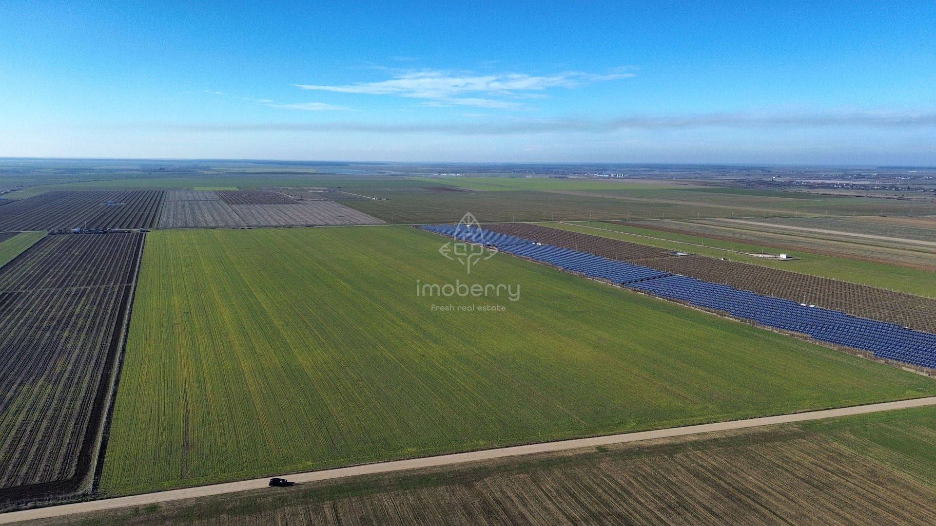 Vând teren extravilan – 11 ha, sat Valter Mărăcineanu, jud Giurgiu - Poză 4