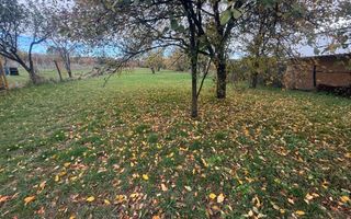 Teren intravilan împrejmuit 2331 mp la strada, toate utilitățile! - Poză 8