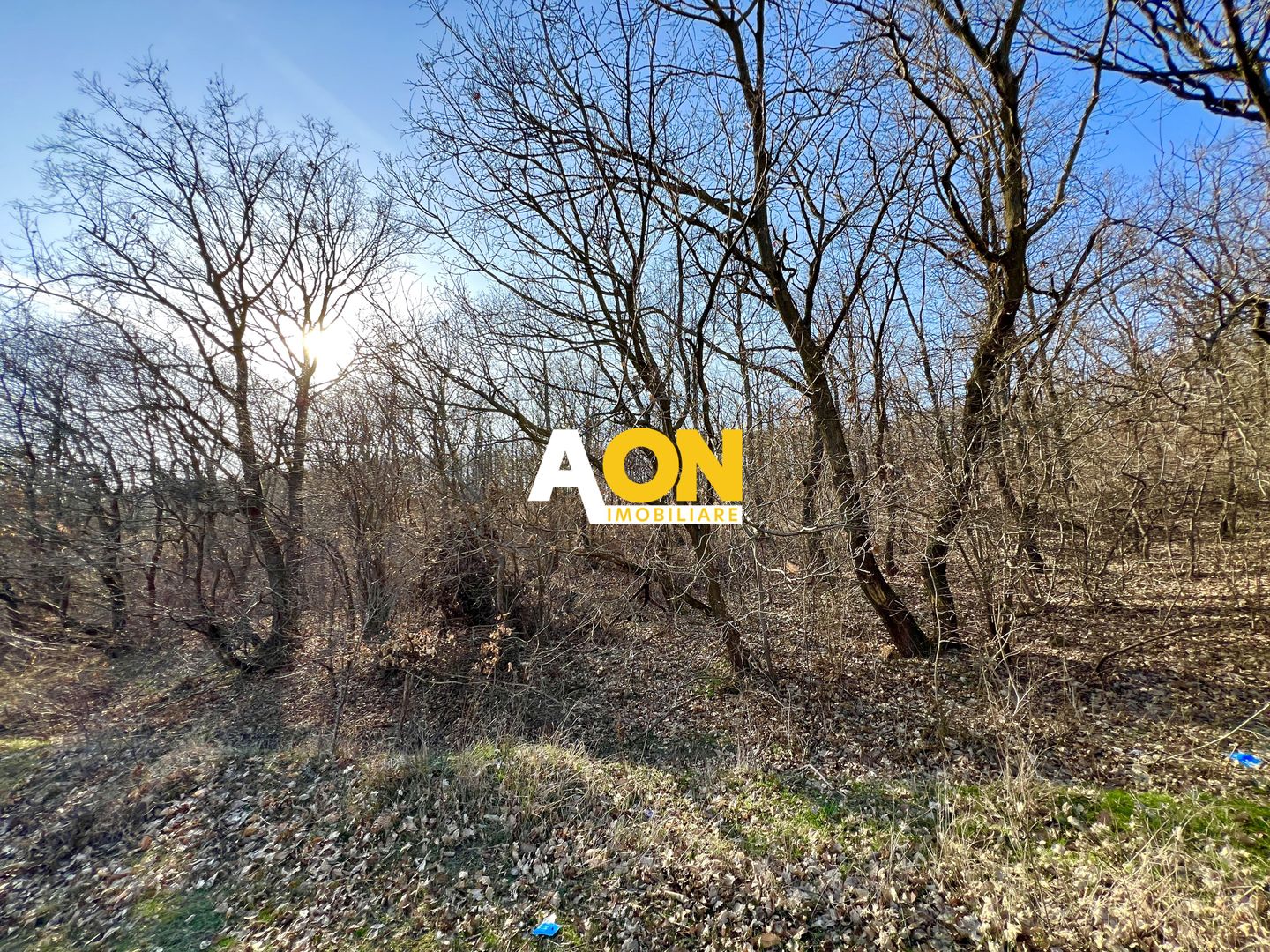 Teren intravilan pretabil cabana/pensiune, aproape de padure, 2100MP - Poză 1