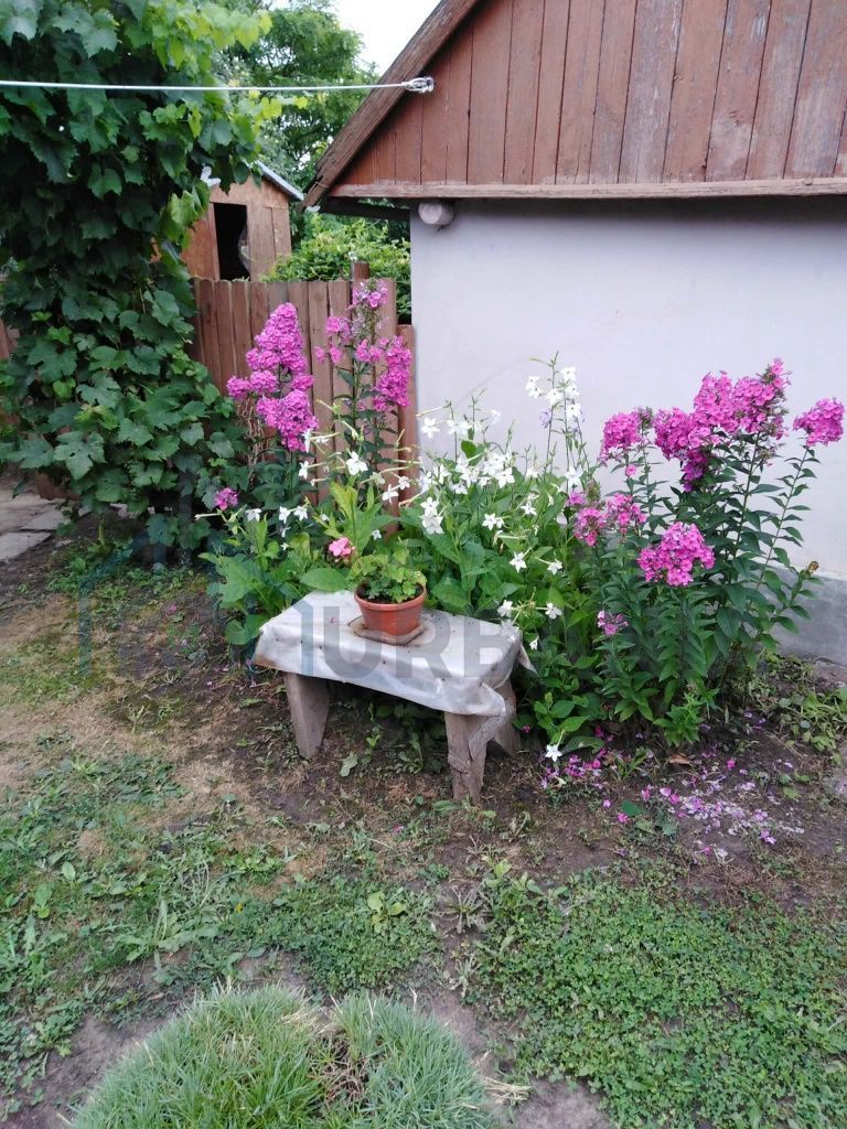 Casă cu 3 camere și teren 2100 mp, Trifești, județul Iași - Poză 3