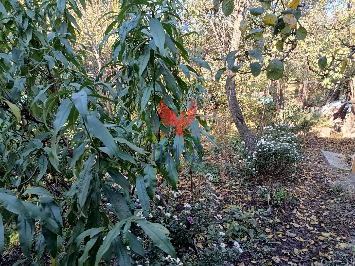 Teren 980 mp, 2 deschiderizona Drumul Muntenilor pret excelent - Poză 6