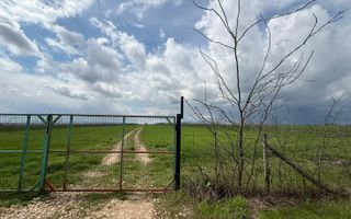 Teren de vanzare in Săcele ideal pentru silozuri, fermă 6 ha - Poză 10
