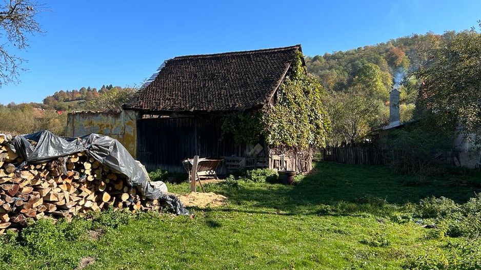 Teren intravilan Sinca Noua - Poză 4