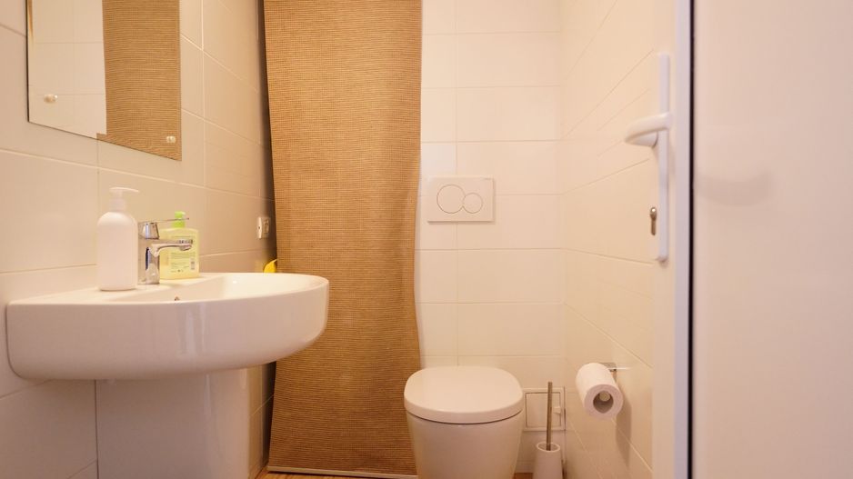 Casa, Hala Traian, ideal cabinet stomatologic - Poză 12