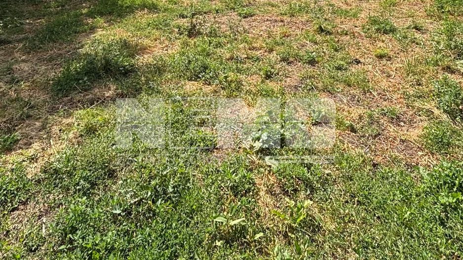 Teren intravilant | 900 MP | Burdujeni, Suceava - Poză 2