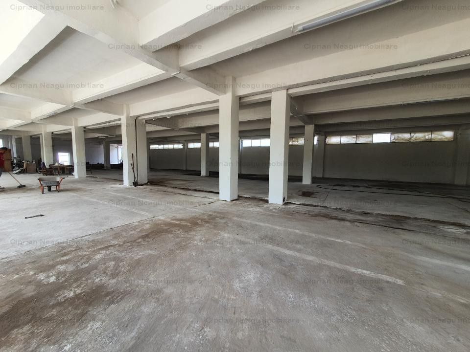 Hala Depozitare de Inchiriat Pitesti - Poză 8