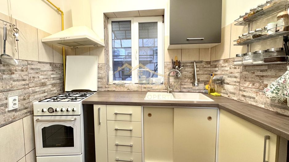 Apartament cu 2 camere in Vila *Parter* // Parcul Carol - Poză 15