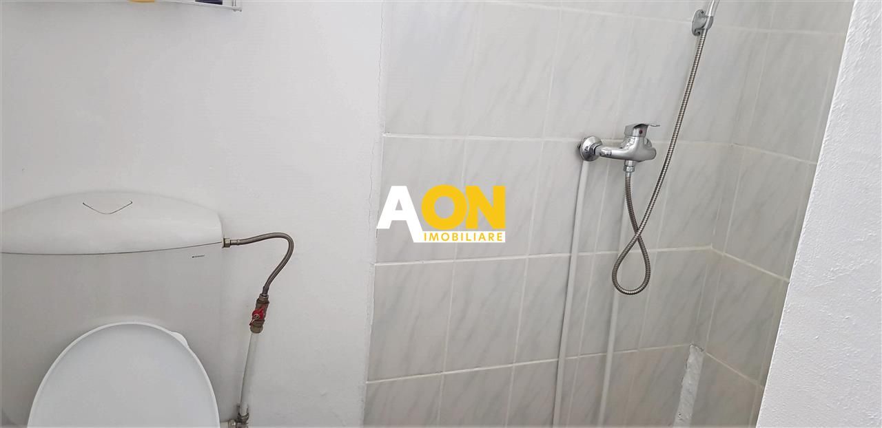 Casa de inchiriat, 2 camere, 250 mp teren, curte comuna, zona Centru - Poză 10