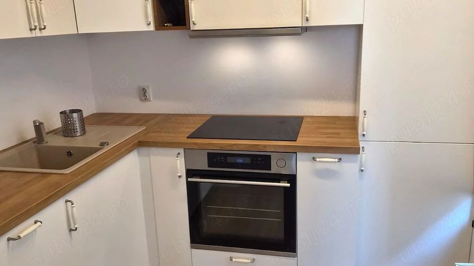 Apartament Baneasa / Somesul Rece - Poză 1