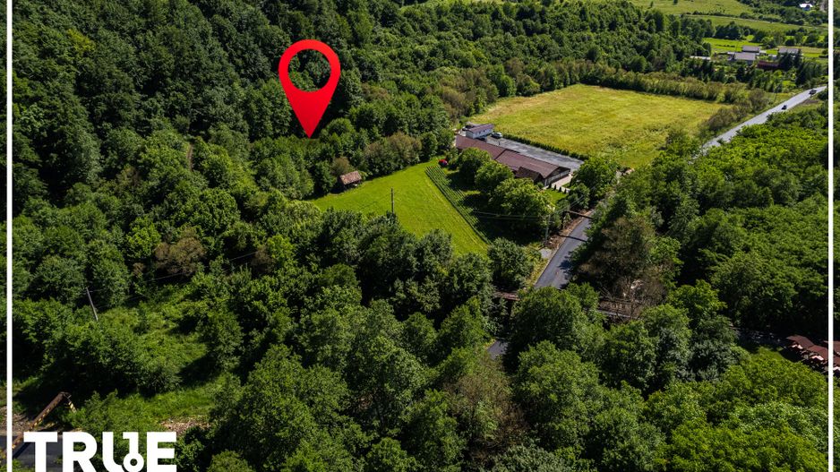 Teren intravilan 2.800 m² în Câmpu Cetății – liniște și natură - Poză 15