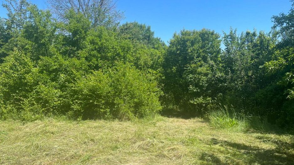 De Vanzare Gospodarie Cerbu - Poză 4