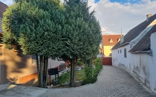 Casa 5 Camere | Curte | Pivniță | Turnișor - Poză 26