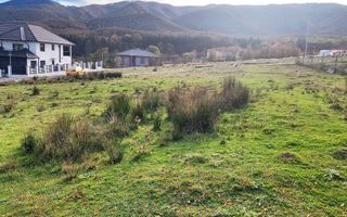 Teren intravilan I 1000 mp I  Tocile - Sadu - Poză 2