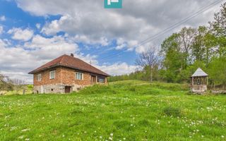 Casă cu teren de 17.681 mp, în loc. Hălmăgel, Arad - Poză 4