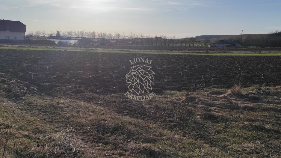 TEREN INTRAVILAN | LOCALITATEA LIVADA, COMUNA ICLOD, JUD. CLUJ - Poză 5