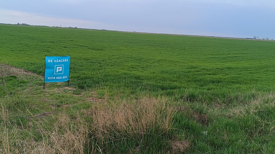 Teren extravilan 5 hectare ( zonă industrială ) Șag - Poză 14