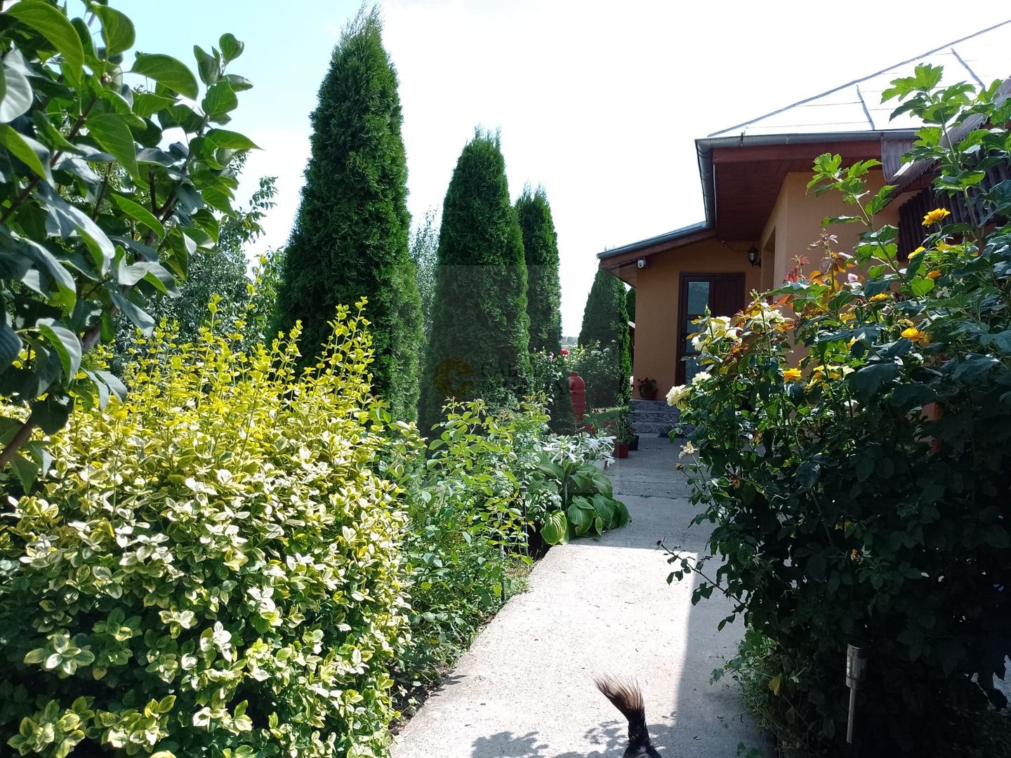 Casă de vacanță modernă cu teren generos –15min de Tecuci - Poză 26