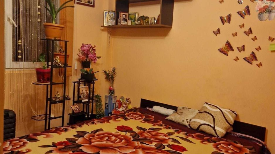 Apartament Moisil // Tei - Poză 2