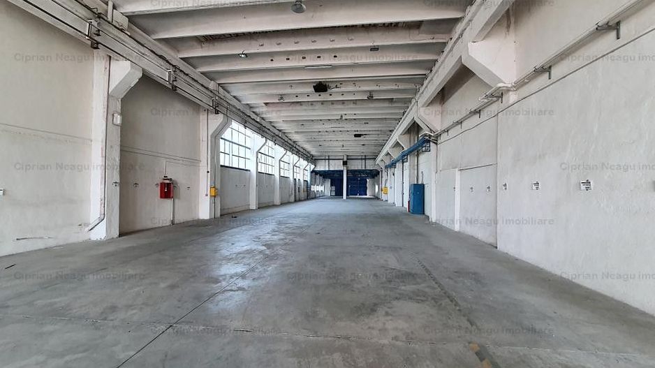 Hala De Inchiriat, zona Depozitelor Pitesti - Poză 3