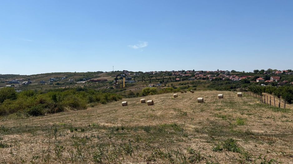 Teren intravilant | 6,355 mp | Săldăbagiu de Munte - Poză 3