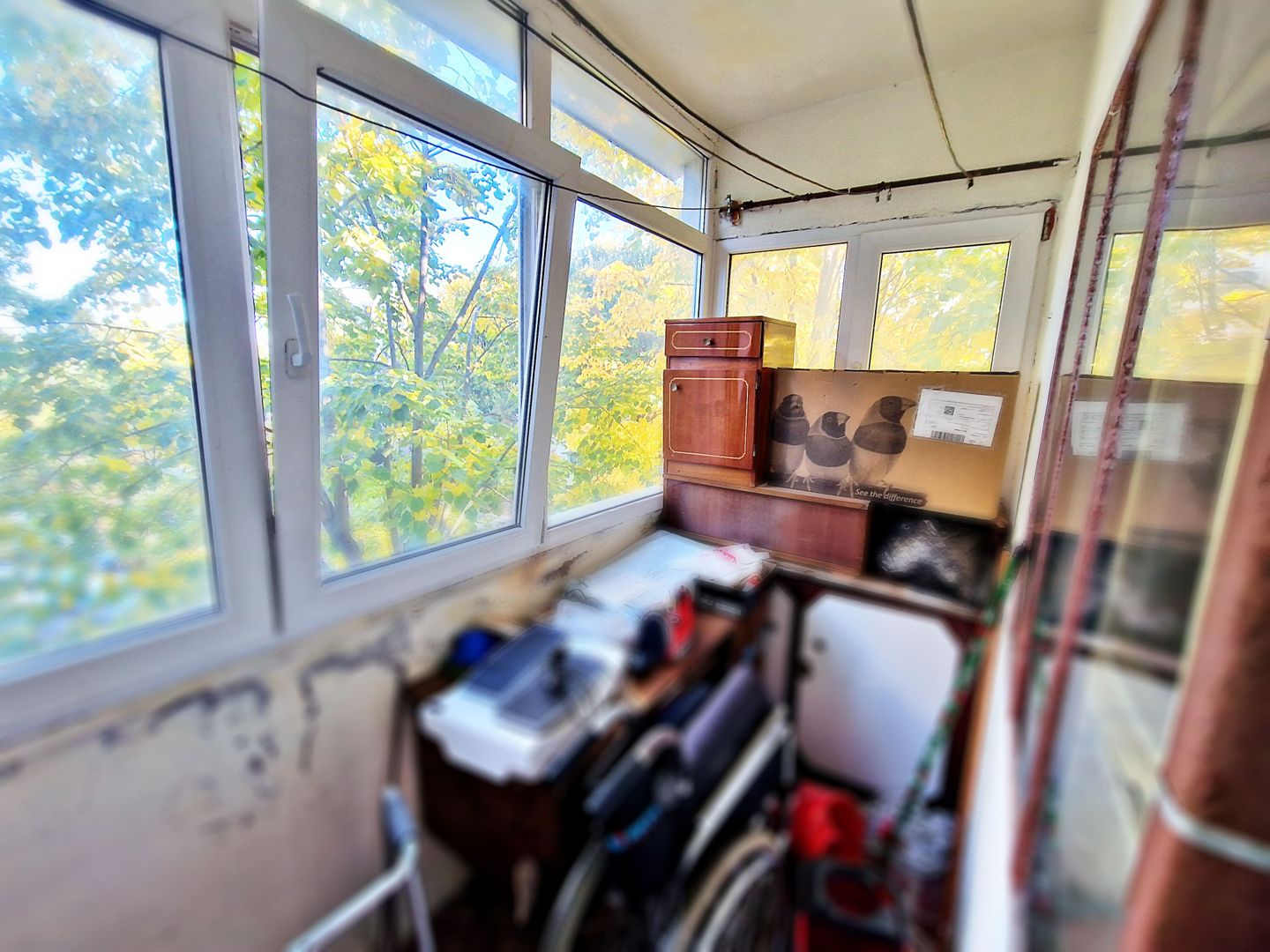 AZURA Imobiliare - Apartament 2 cam cf1 et 2 Prundu - Poză 4