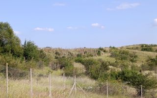 Teren extravilan parcelat Valea Budacului - Poză 4
