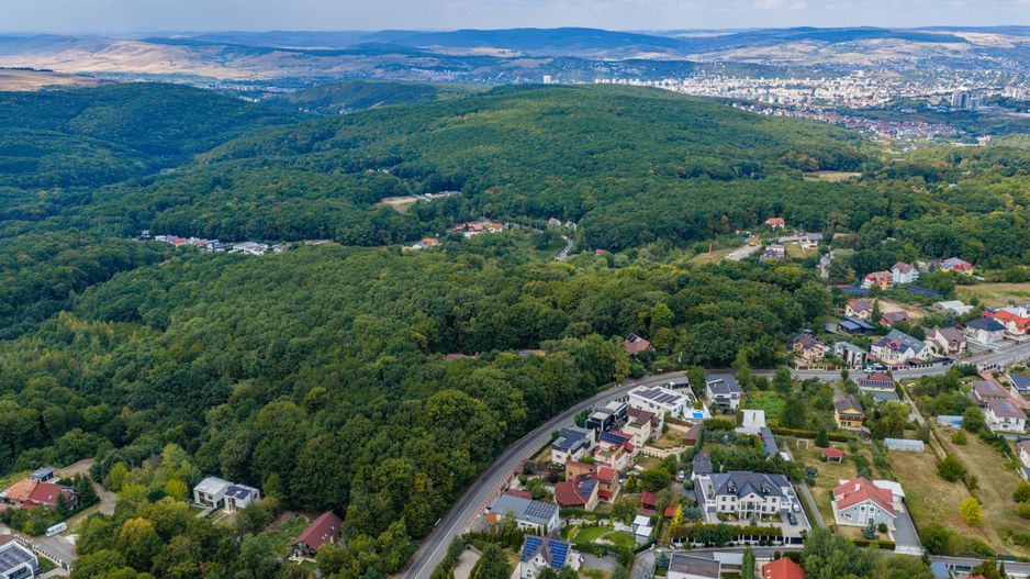 Teren cu suprafata de 10.000 mp I Faget - Poză 1