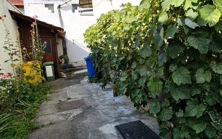 Apartament 2 camere 50 mp utili parter la curte zona Centrul Istoric - Poză 7