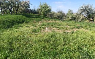 Teren Intravilan, zona Feleacu - Poză 1