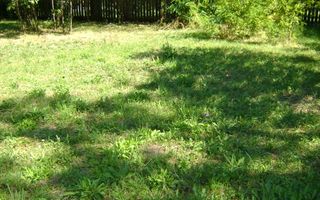 Teren  de vanzare Cornu 1919 mp - Poză 4