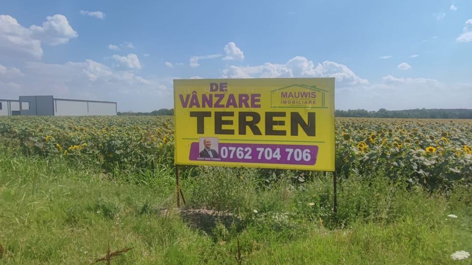 Vand teren intravilan cu destinatie hale - Ganeasa - Sindrilita - Poză 12