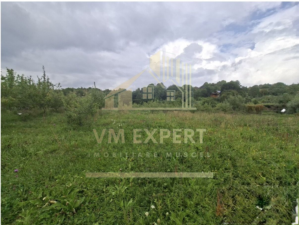 TEREN 20.621 MP CAMPULUNG - Poză 7