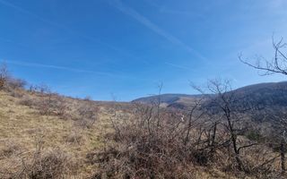 Teren extravilan, 23 400 mp, Cuvin (Ghioroc) - Poză 2