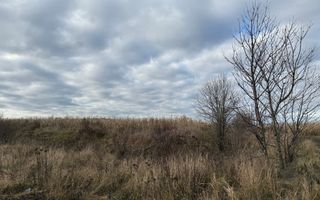 VAND TEREN 46 ARI | VOLOVAT | 47.000 EURO | - Poză 9