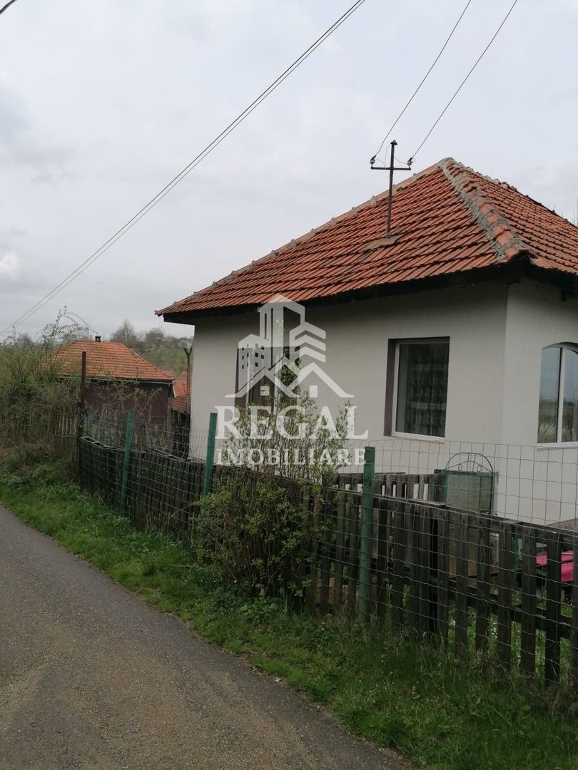 Casă de vânzare în Cerisor – liniște, natură și teren generos! - Poză 7