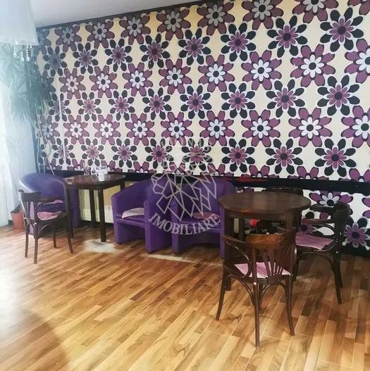 Spatiu comercial 300mp-terasa 100mp-vitrina 10m-Zona Semicentrala - Poză 2