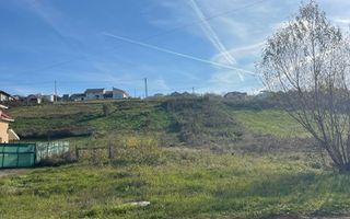 Teren intravilan zona Gh Doja, panorama lac , sup 1050 mp, front 25 ml - Poză 3