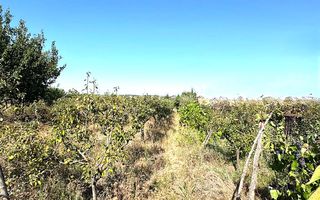 Cabana din lemn+ teren 2000 mp , 105.000 Euro negociabil, zona Metro - Poză 10