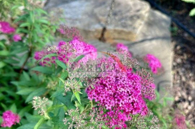 Vila lux de vanzare in cel mai dorit complex din Erou Iancu Nicolae-locatie rara - Poză 41