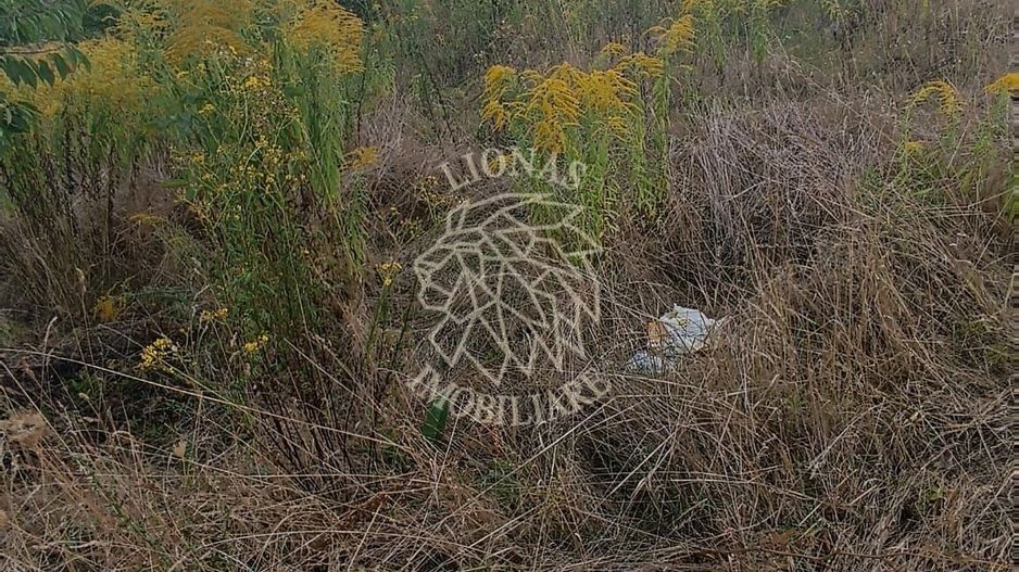 Teren intravilan 5800 mp-investitie- Zona Gheorgheni - Poză 2