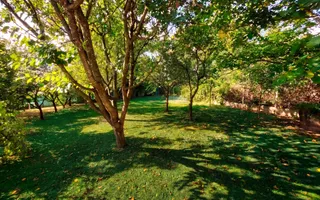 Vilă în Făget | Sediu companie | 2.412 mp teren 8 parcări - Poză 13