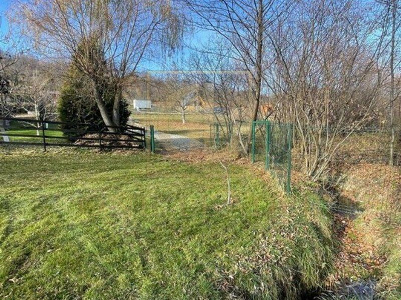 Teren 3349 mp de Vânzare | Bran – Panoramă Munții Bucegi - Poză 9