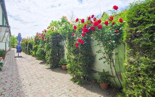 De vânzare – Proprietate comercială tip Restaurant & Salon Evenimente - Poză 36
