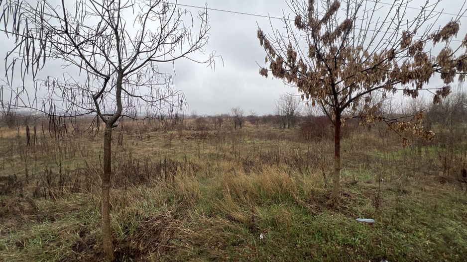 Teren la DN7 - ideal investitie (Benzinarie, spalatorie, hala, rezidential) - Poză 10