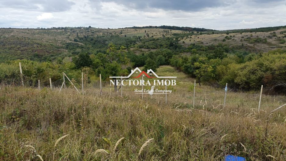 EXCLUSIVITATE Nectora Imob-Teren Intravilan cu panorama la lac,4837 mp - Poză 16