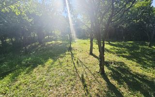 🌟 Teren intravilan de vânzare în Breaza de Jos – peisaj de vis! 🌳🏡 - Poză 4